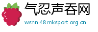 气忍声吞网